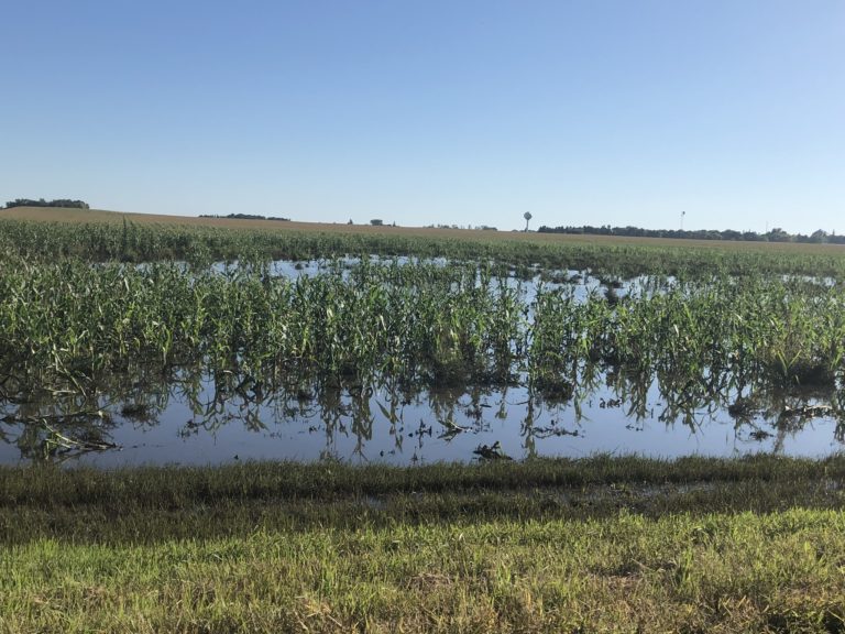 Crop Insurance Premiums Deadline Extended AgQuest Ag