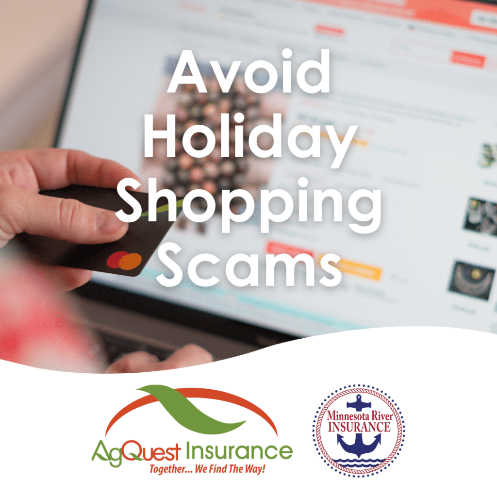 Holiday Shopping Scams