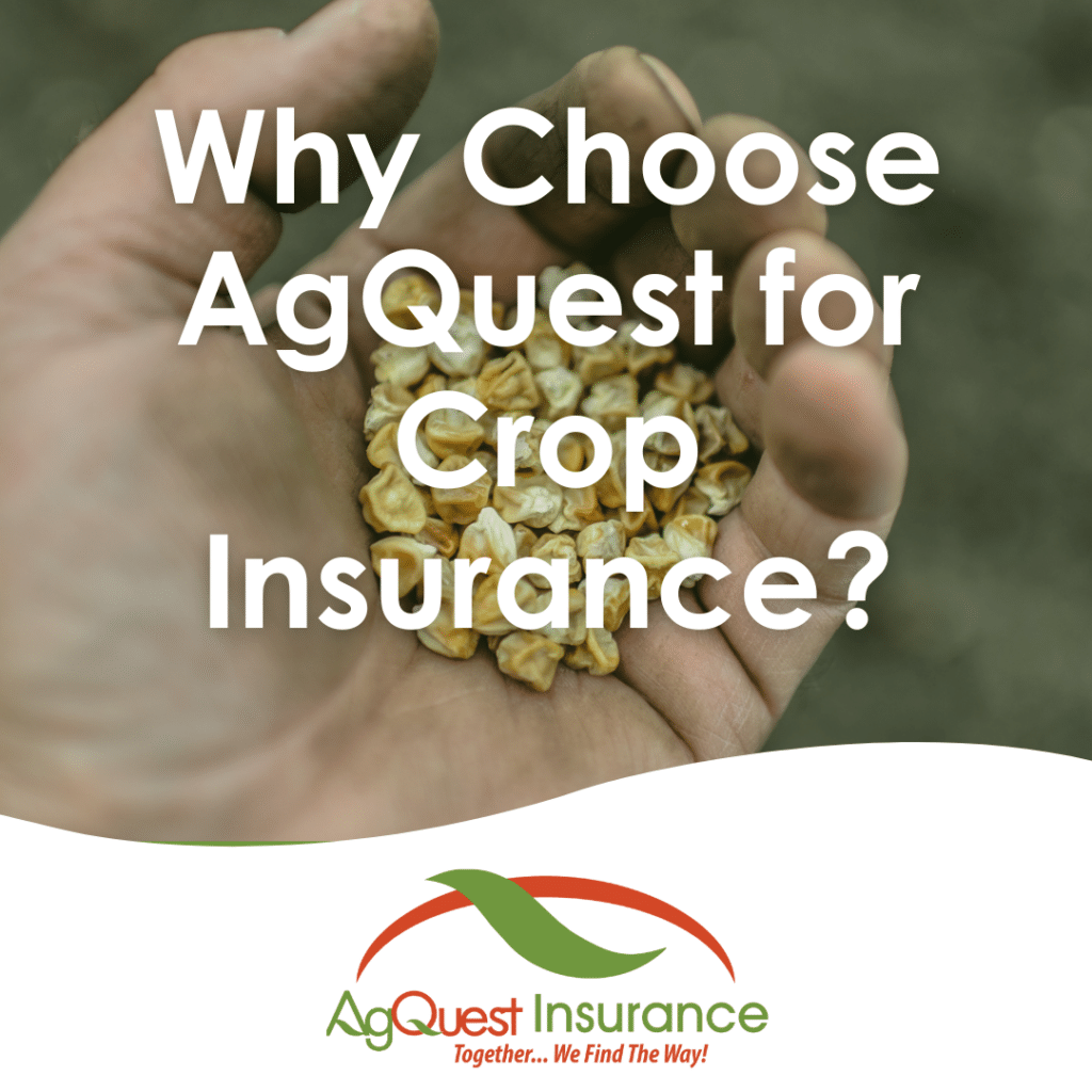 crop insurance