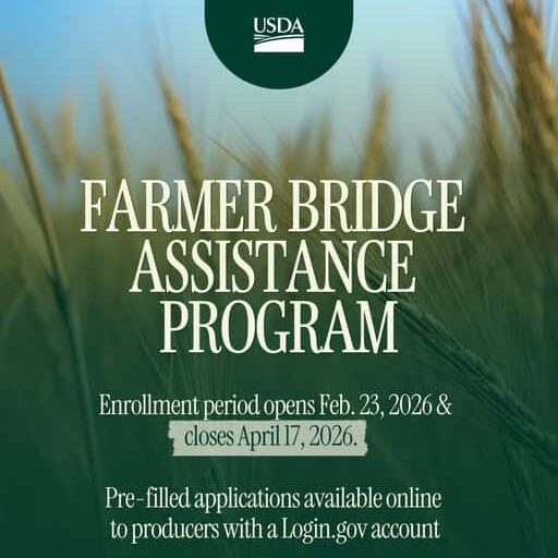 Bridge Assistance Program