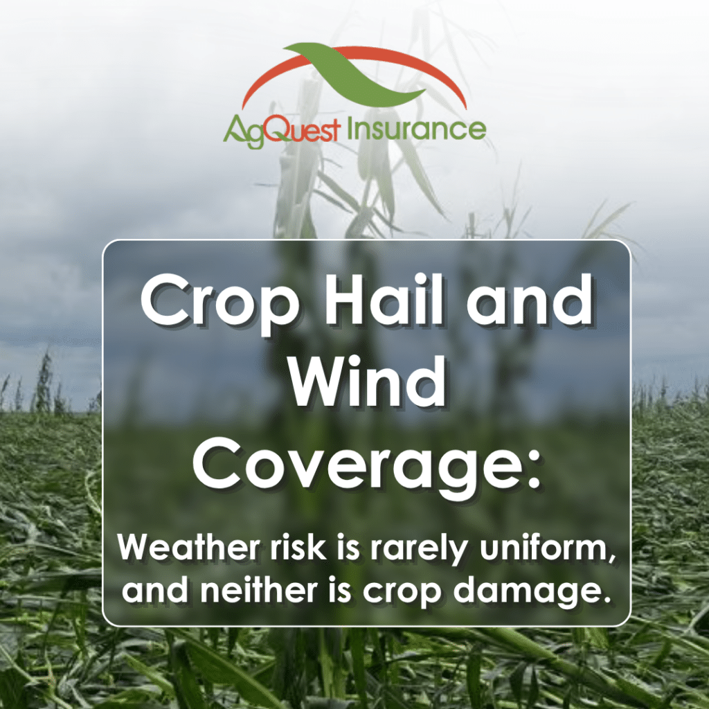 Crop Hail and Wind Coverage: Weather risk is rarely uniform, and neither is crop damage.