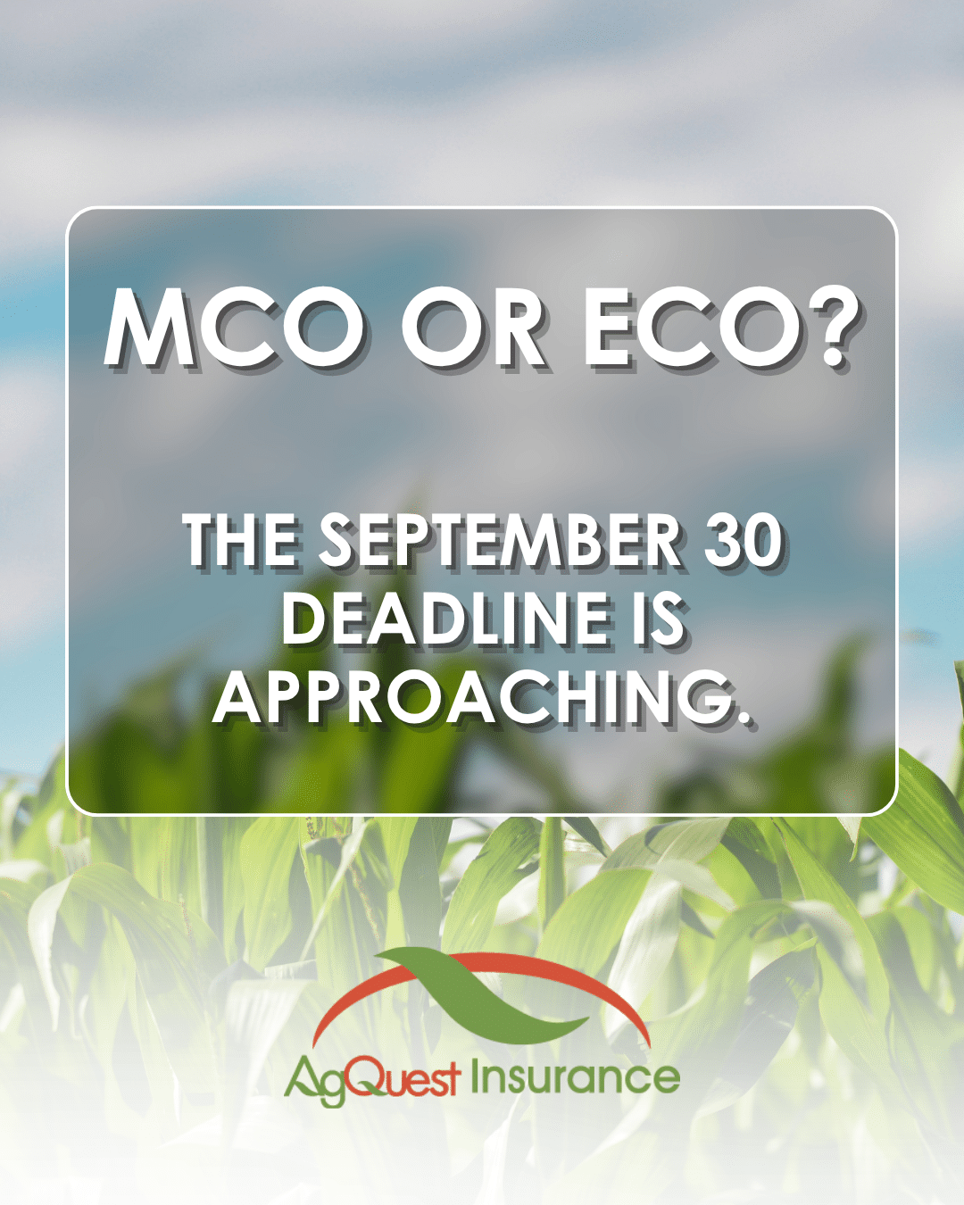 MCO or ECO
