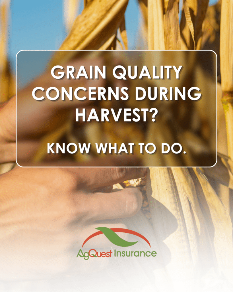 Grain Quality Concerns During Harvest? Know What to Do